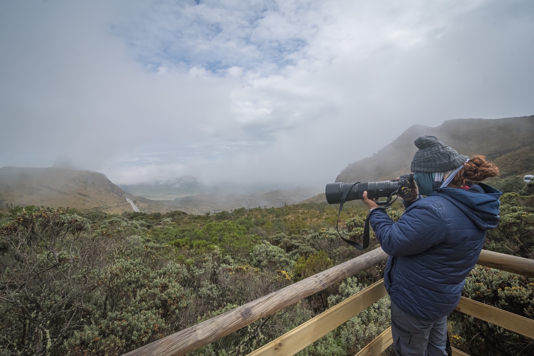 Birding and Harping